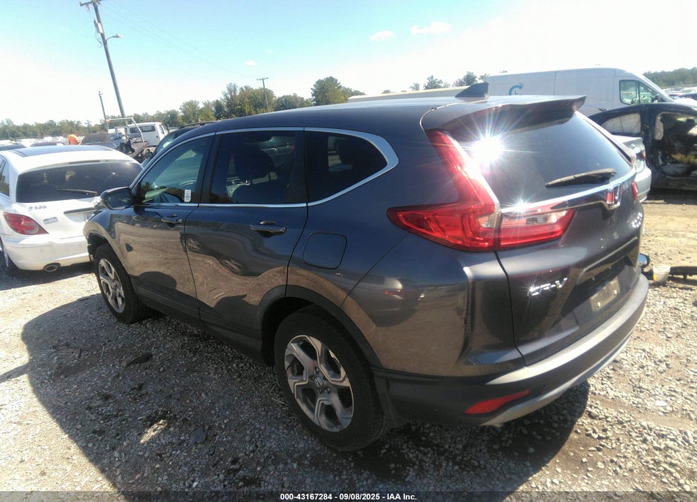 2019 HONDA CR-V VIN: 7FARW2H80KE059862