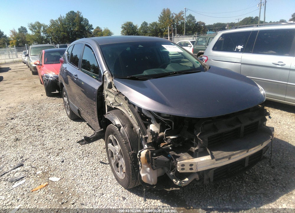 2019 HONDA CR-V VIN: 7FARW2H80KE059862