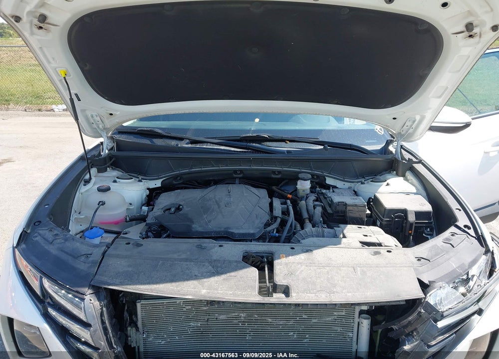 2023 HYUNDAI TUCSON VIN: 5NMJBCAE6PH249391