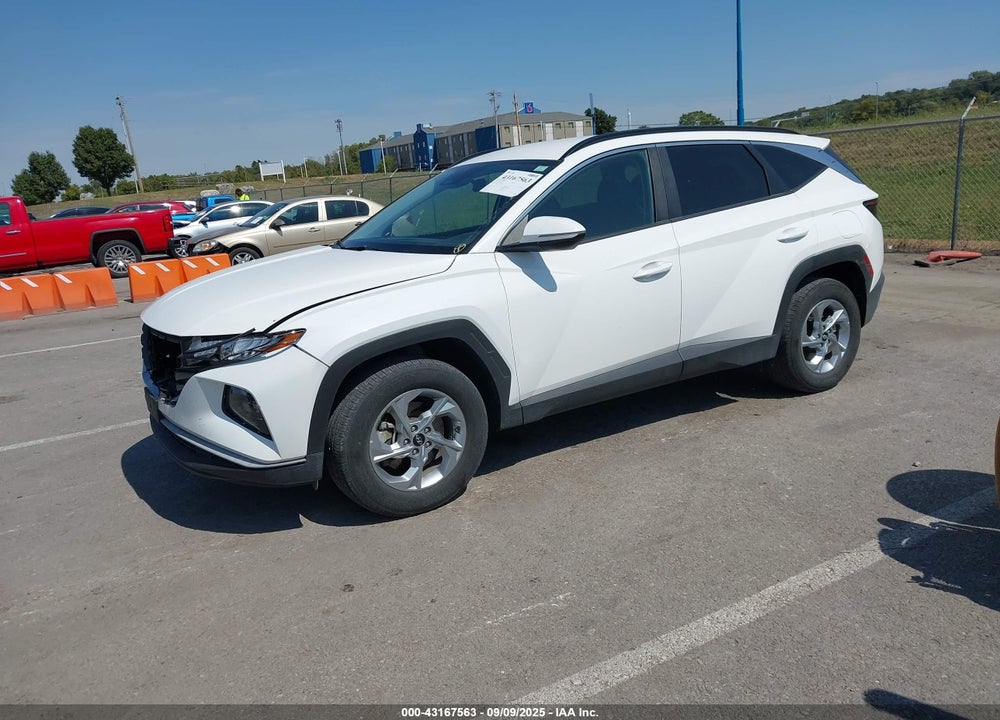 2023 HYUNDAI TUCSON VIN: 5NMJBCAE6PH249391