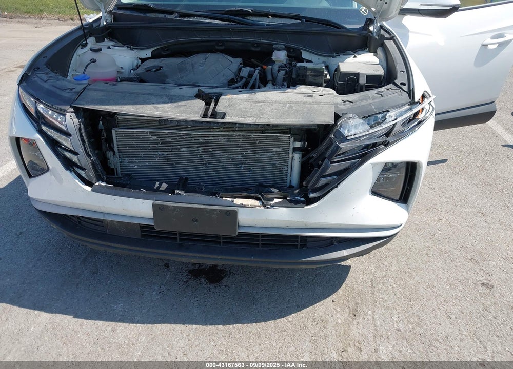 2023 HYUNDAI TUCSON VIN: 5NMJBCAE6PH249391