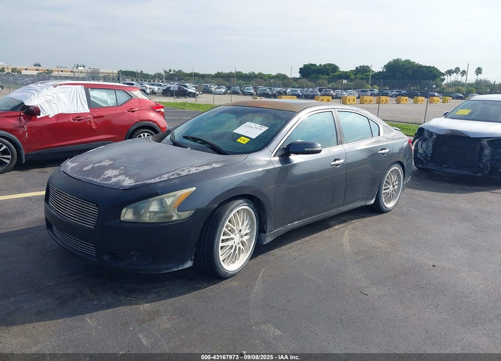 2009 NISSAN MAXIMA VIN: 1N4AA51E39C834144