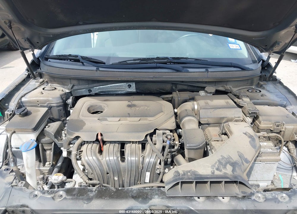 2019 HYUNDAI SONATA VIN: 5NPE34AF6KH809466