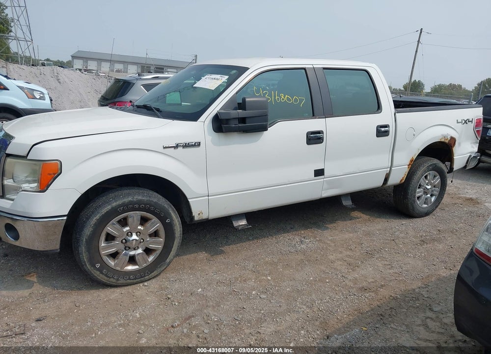 2009 FORD F-150 FX4/KING RANCH/LARIAT/PLATINUM/XL/XLT VIN: 1FTPW14V99FB42429