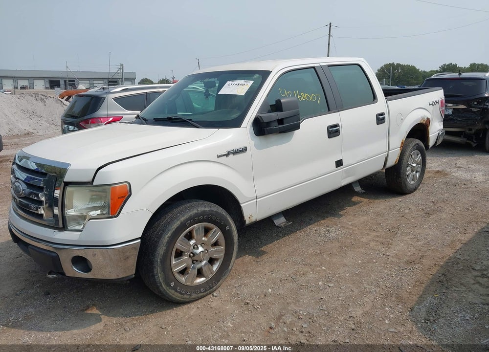 2009 FORD F-150 FX4/KING RANCH/LARIAT/PLATINUM/XL/XLT VIN: 1FTPW14V99FB42429