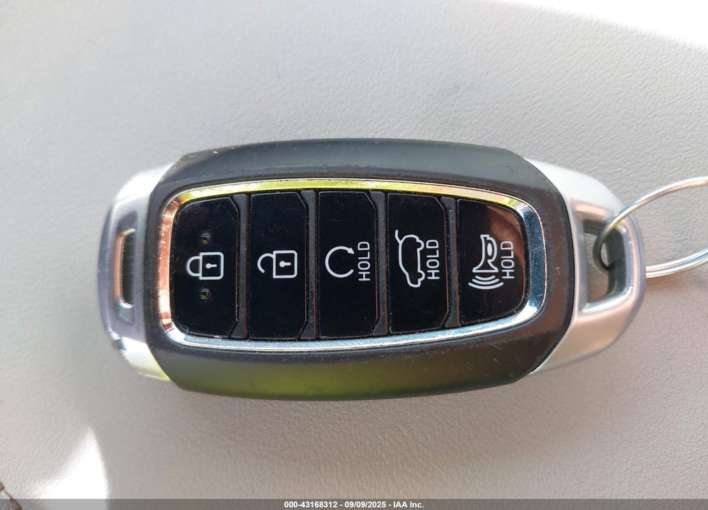 2020 HYUNDAI PALISADE VIN: KM8R4DHE5LU065194