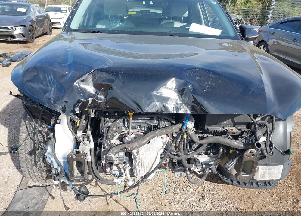 2020 HYUNDAI PALISADE VIN: KM8R4DHE5LU065194