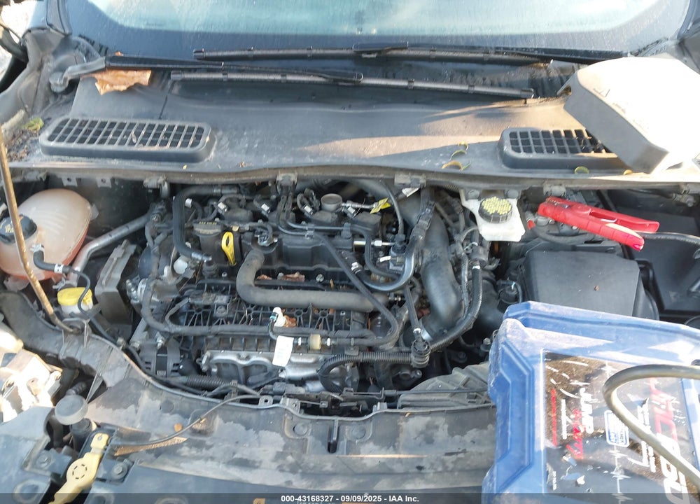 2019 FORD ESCAPE VIN: 1FMCU0HD9KUA21901
