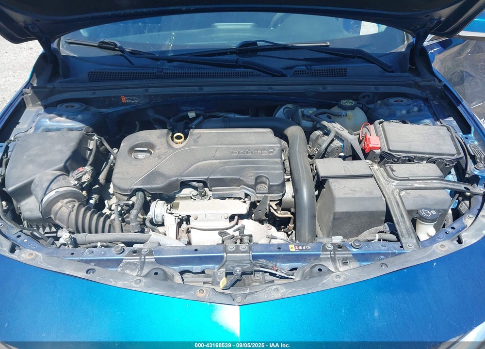 2019 CHEVROLET MALIBU VIN: 1G1ZD5ST6KF111404