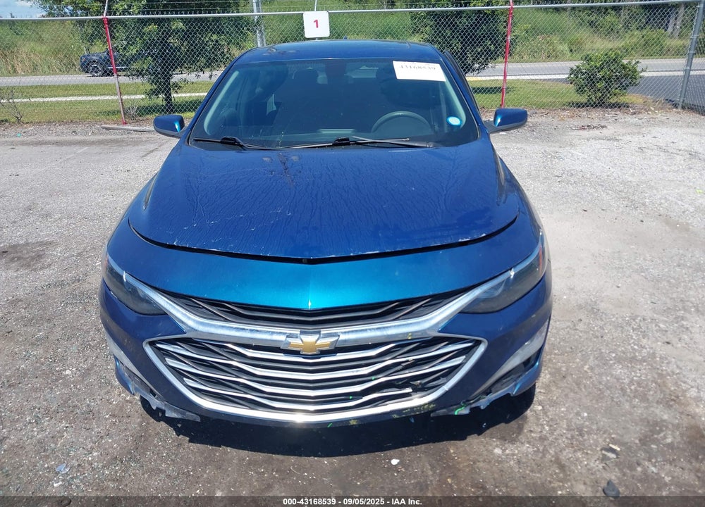 2019 CHEVROLET MALIBU VIN: 1G1ZD5ST6KF111404