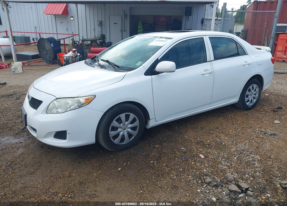 2010 TOYOTA COROLLA VIN: 2T1BU4EE8AC523394