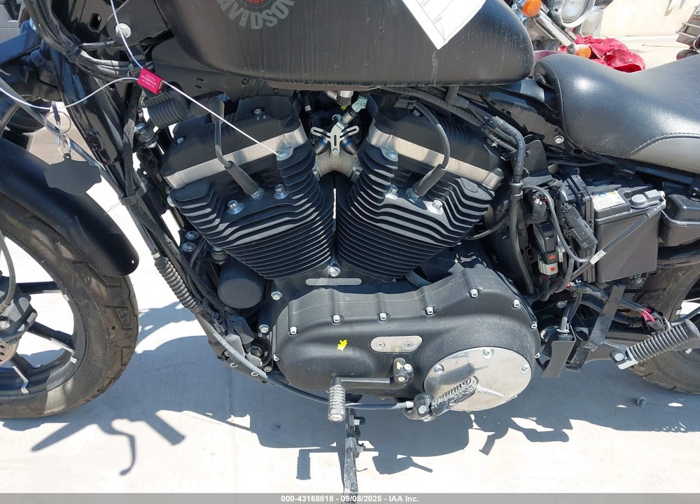 2022 HARLEY-DAVIDSON XL883 N VIN: 1HD4LE210NB415342