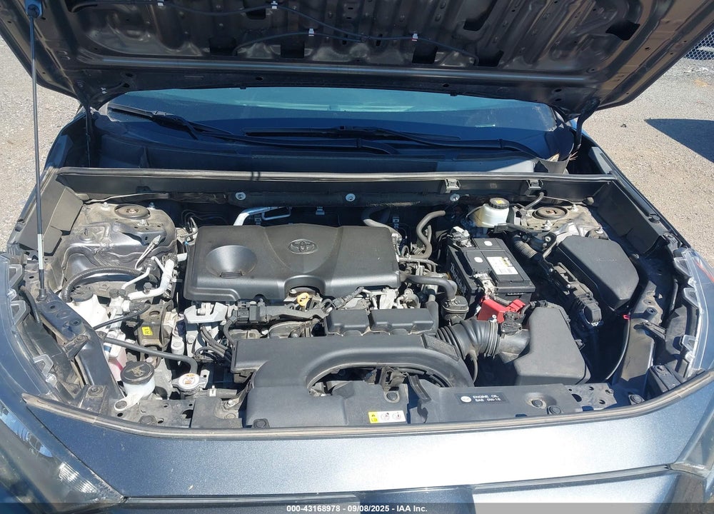 2019 TOYOTA RAV4 VIN: 2T3G1RFV4KC025969