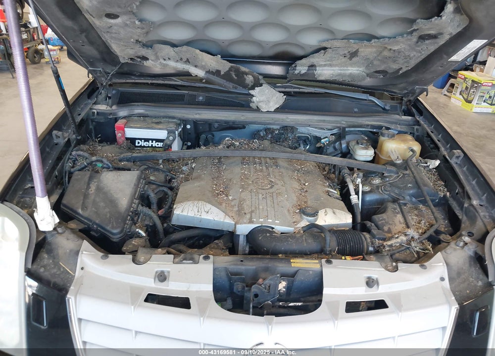 2006 CADILLAC SRX V8 VIN: 1GYEE63A060215508