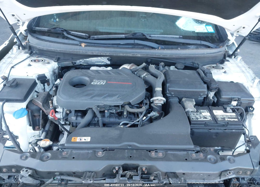 2017 HYUNDAI SONATA VIN: 5NPE34AB1HH499670