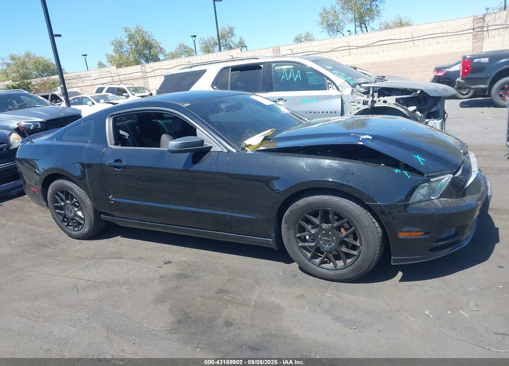 2013 FORD MUSTANG VIN: 1ZVBP8AM1D5251524