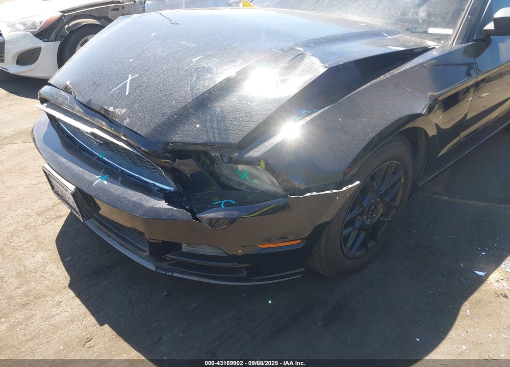 2013 FORD MUSTANG VIN: 1ZVBP8AM1D5251524