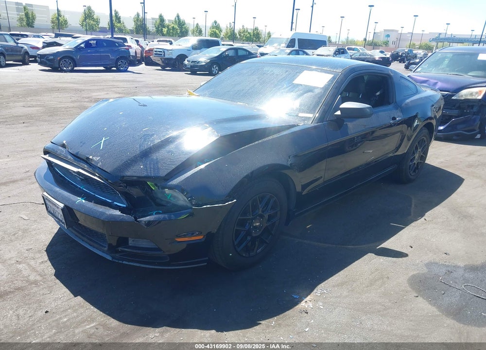 2013 FORD MUSTANG VIN: 1ZVBP8AM1D5251524