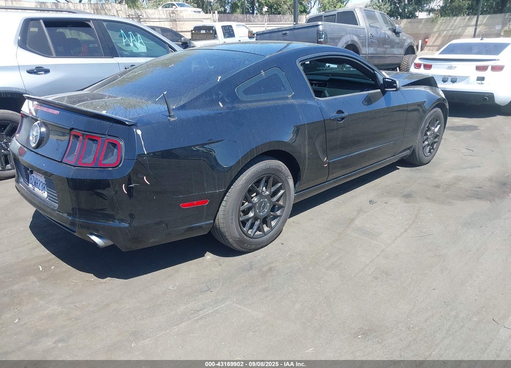 2013 FORD MUSTANG VIN: 1ZVBP8AM1D5251524