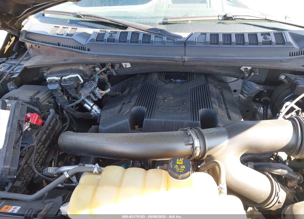 2019 FORD F-150 XLT VIN: 1FTEW1E45KFC76163