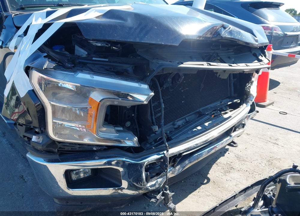 2019 FORD F-150 XLT VIN: 1FTEW1E45KFC76163