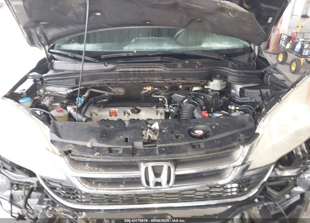 2010 HONDA CR-V VIN: 3CZRE3H5XAG701257
