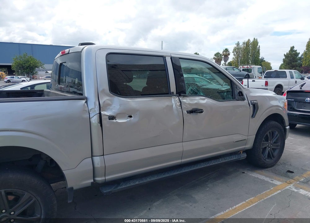 2021 FORD F-150 XLT VIN: 1FTFW1ED7MFC89455