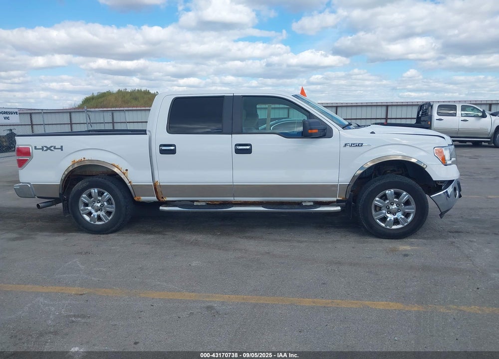 2009 FORD F-150 XLT VIN: 1FTPW14V09FA25063