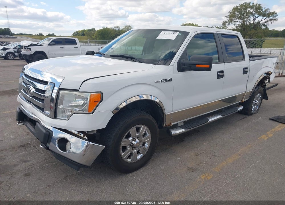 2009 FORD F-150 XLT VIN: 1FTPW14V09FA25063
