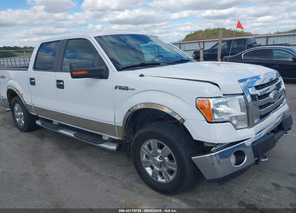 2009 FORD F-150 XLT VIN: 1FTPW14V09FA25063