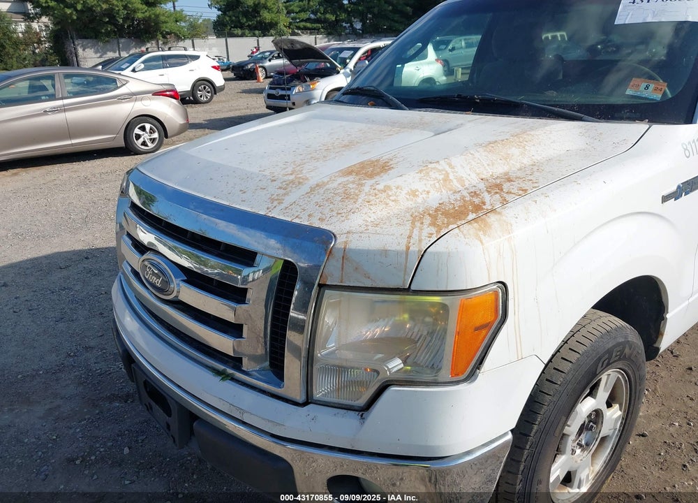 2011 FORD F-150 VIN: 1FTNF1CF1BKD84386