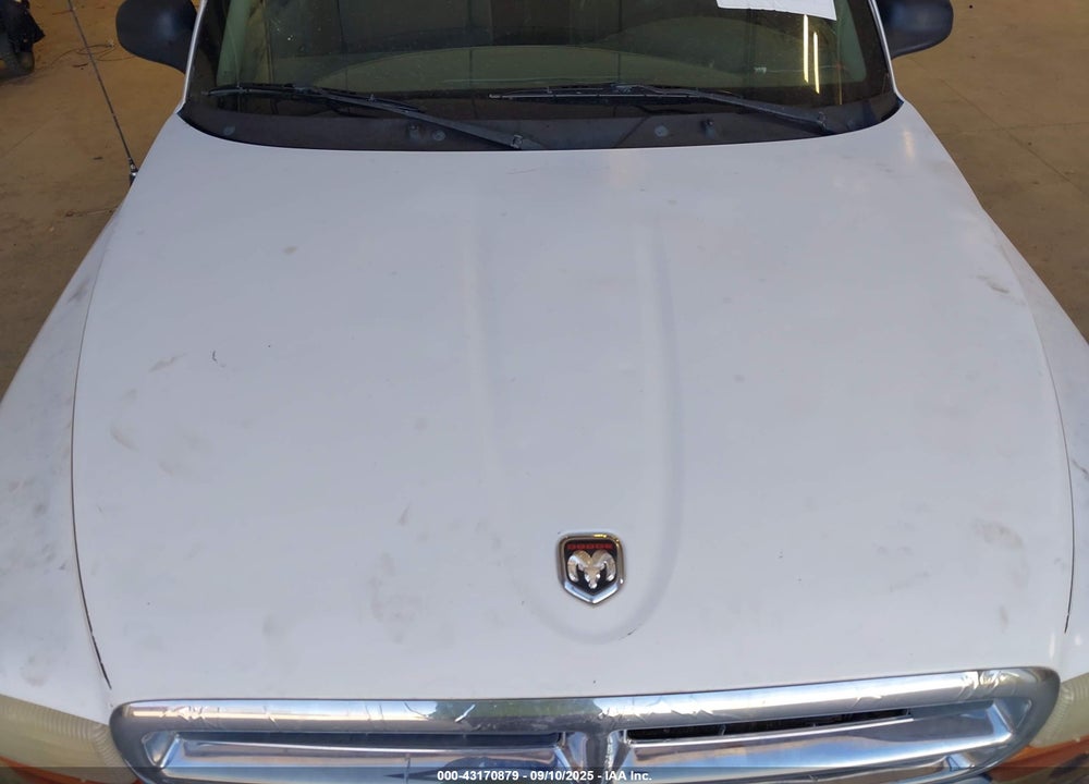 2001 DODGE DAKOTA SLT/SPORT VIN: 1B7GL22X31S172704