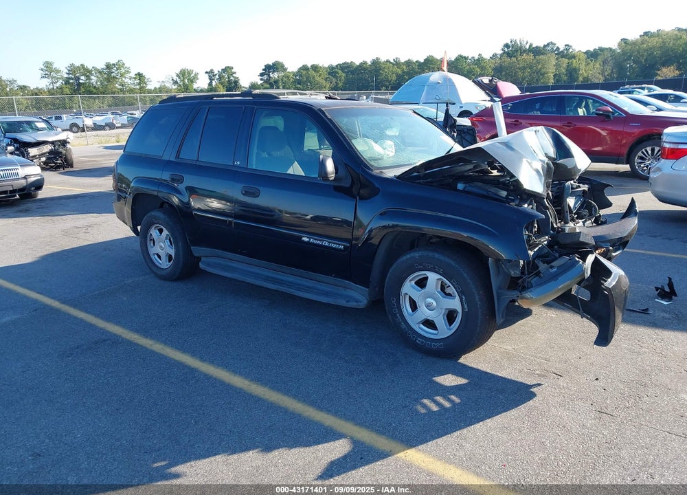 2002 CHEVROLET TRAILBLAZER LS VIN: 1GNDT13S222487308