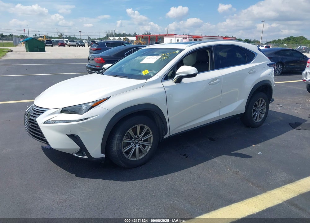 2020 LEXUS NX 300 VIN: JTJDARBZ4L2177462