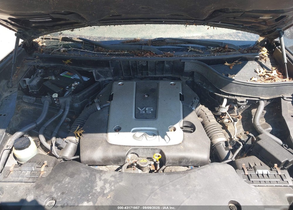 2011 INFINITI FX35 VIN: JN8AS1MW0BM731823