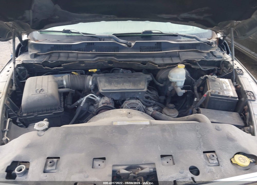 2009 DODGE RAM 1500 VIN: 1D3HV18P09S815772