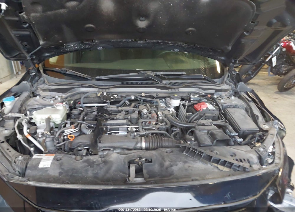 2020 HONDA CIVIC EX VIN: 19XFC1F33LE015872