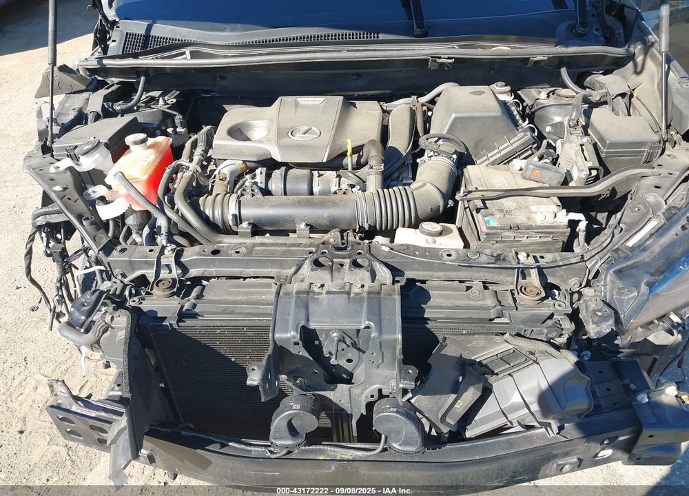 2019 LEXUS NX 300 VIN: JTJBARBZ9K2205679
