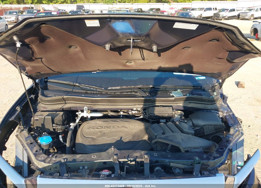2024 HONDA PASSPORT VIN: 5FNYF8H53RB015252
