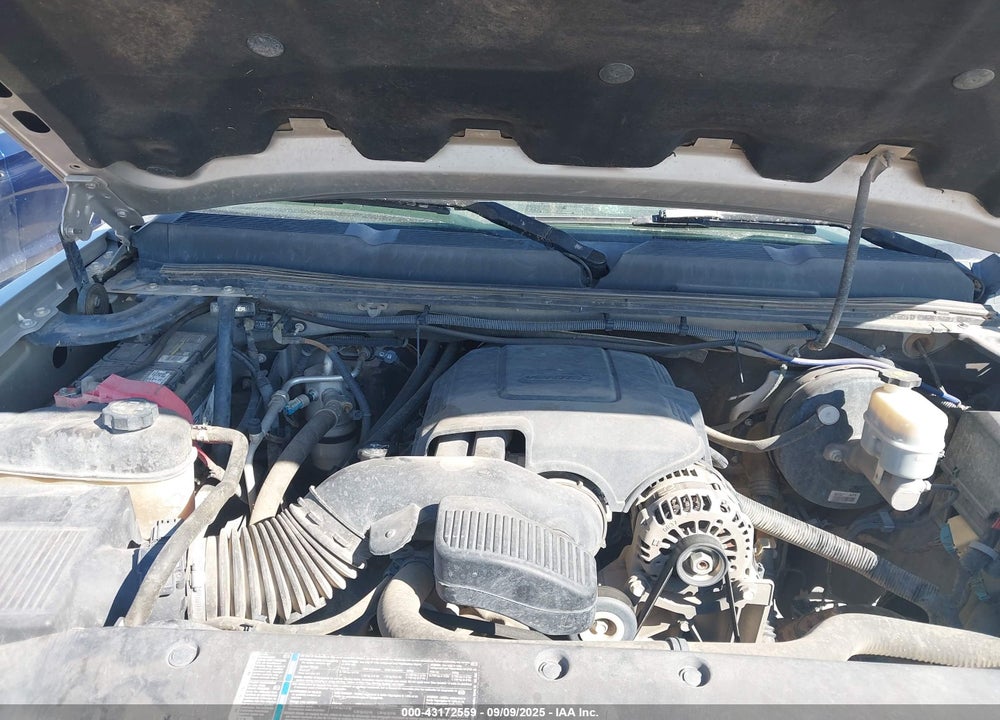 2009 CHEVROLET SILVERADO 1500 VIN: 3GCEC23J69G261851