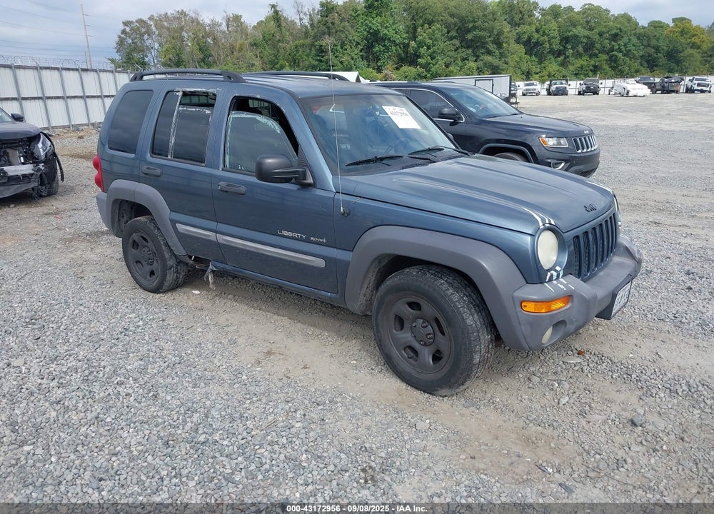 2002 JEEP LIBERTY VIN: 1J4GL48K42W315980