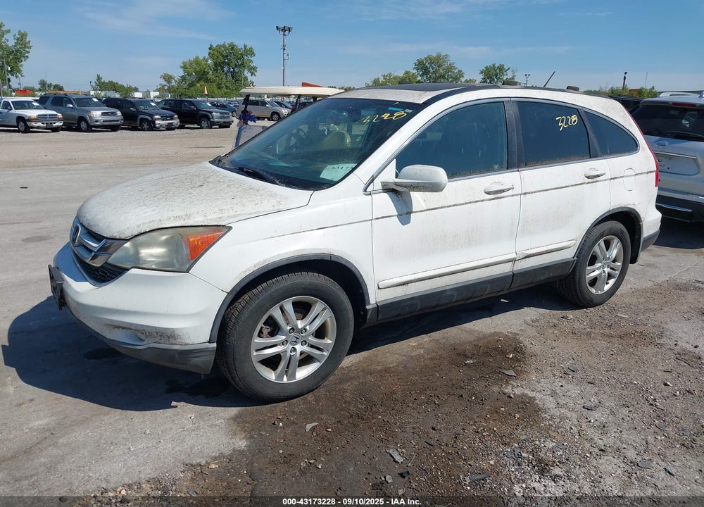 2010 HONDA CR-V EX-L VIN: 5J6RE4H77AL083597