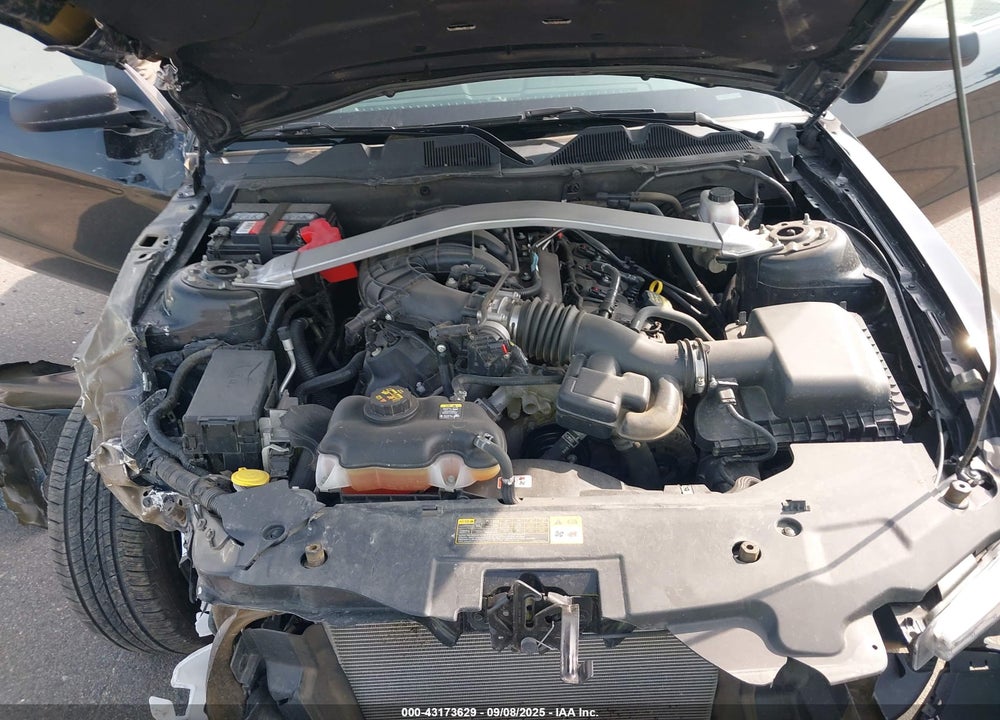 2011 FORD MUSTANG VIN: 1ZVBP8EM3B5109201