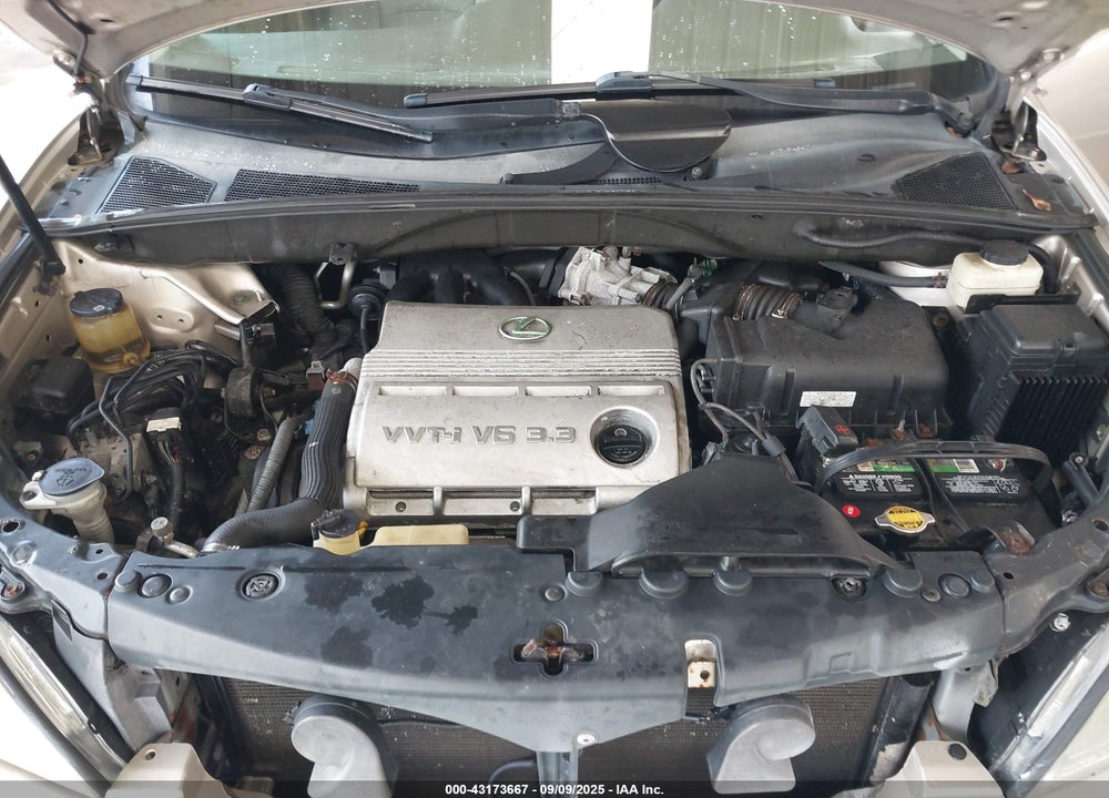 2006 LEXUS RX 330 VIN: 2T2GA31U86C045521