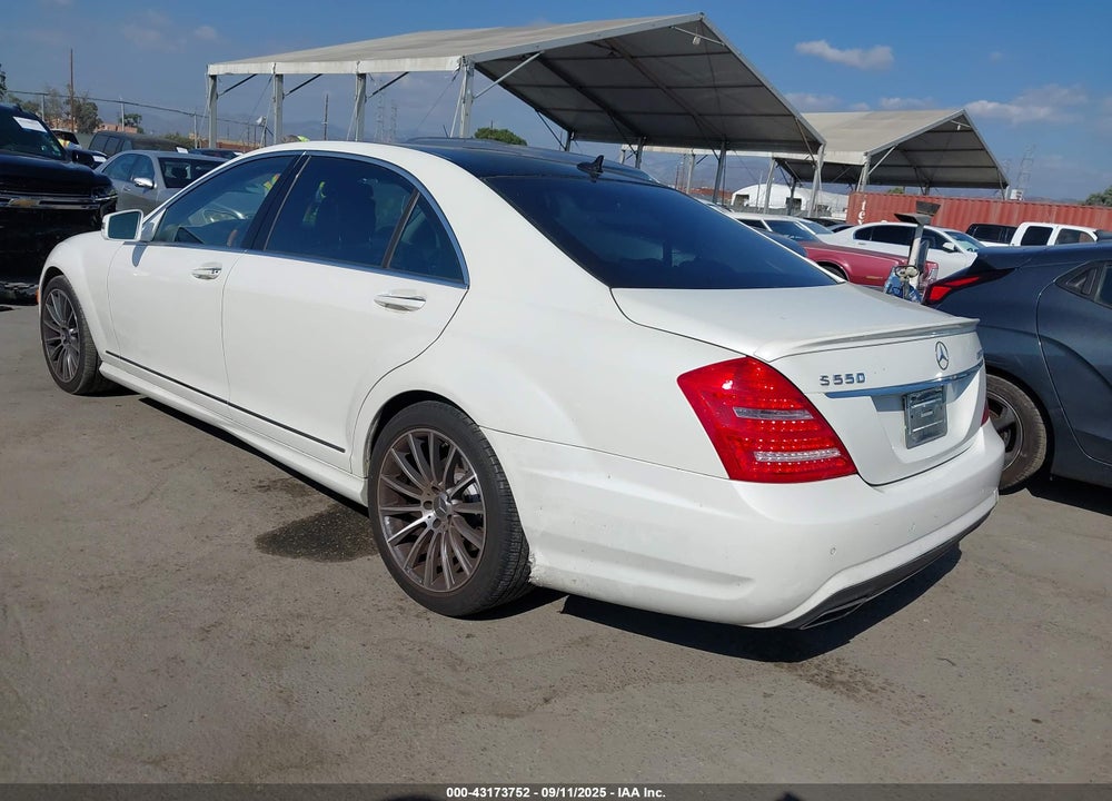 2010 MERCEDES-BENZ S CLASS VIN: WDDNG7BB5AA347169