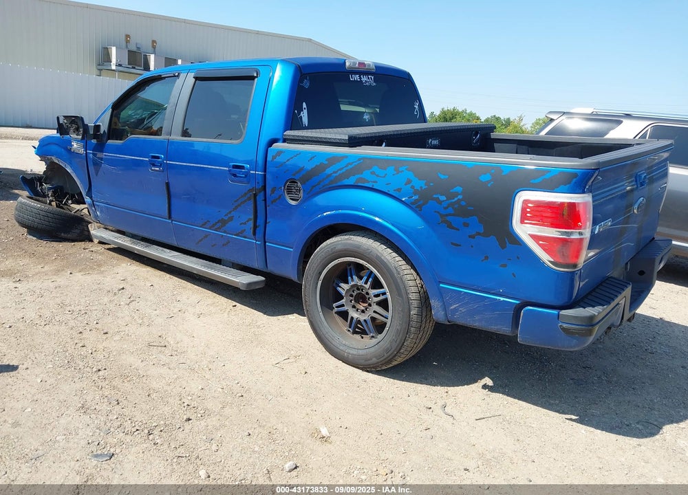 2010 FORD F-150 VIN: 1FTEW1C80AKE14302