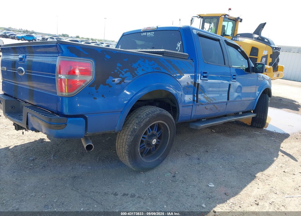2010 FORD F-150 VIN: 1FTEW1C80AKE14302
