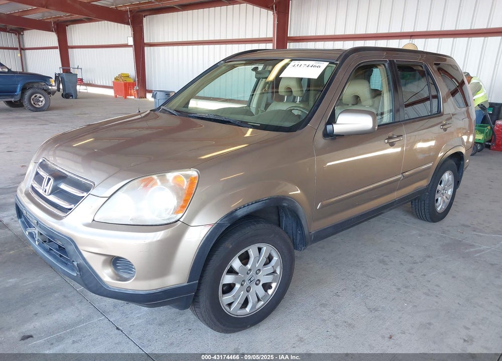 2006 HONDA CR-V VIN: JHLRD78996C014710