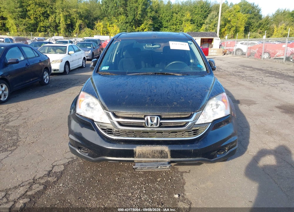 2010 HONDA CR-V VIN: 5J6RE4H55AL024918
