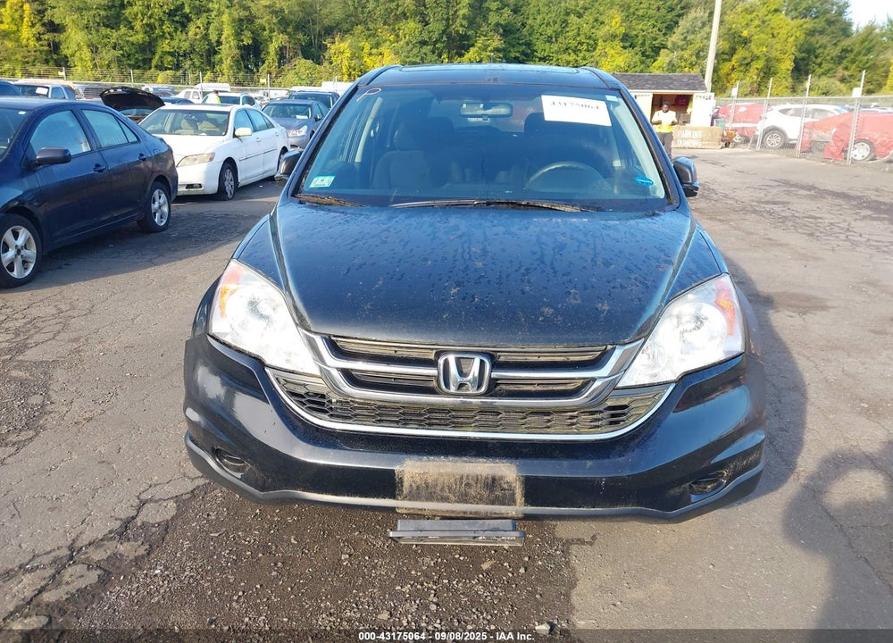 2010 HONDA CR-V VIN: 5J6RE4H55AL024918